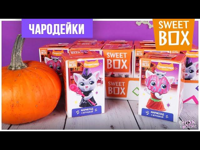 Пушистики: Чародейки в Sweet Box | Котята-волшебники в Свит Бокс