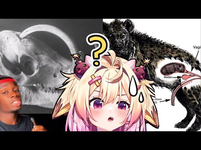 Animals that Got the Middle Finger from Evolution | rosiebellmoo reacts to Casual Geographic