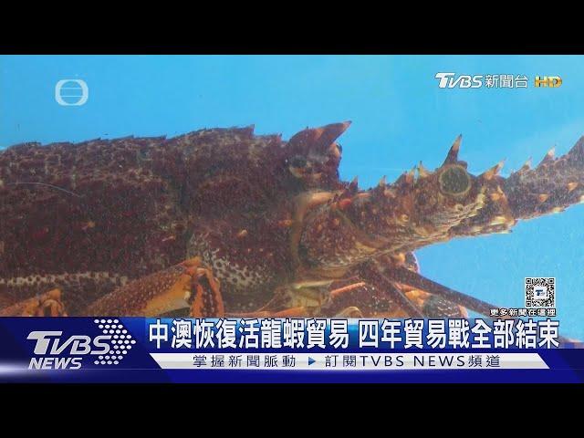 中澳恢復活龍蝦貿易 四年貿易戰全部結束｜TVBS新聞 @TVBSNEWS01