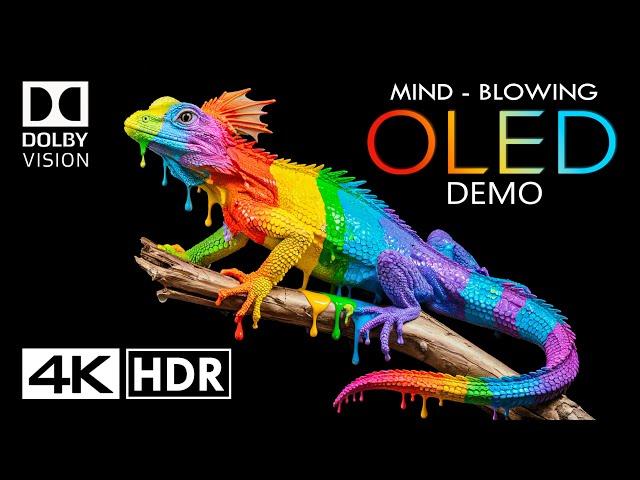 MIND-BLOWING OLED Dolby Vision 4K HDR 60fps (4K Video)