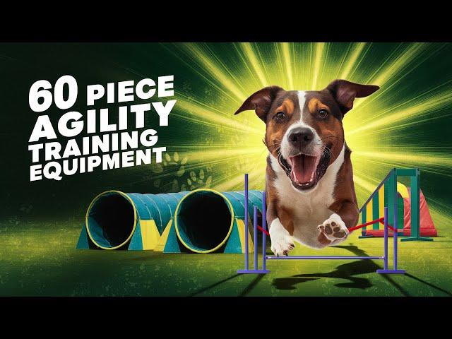 Unlock The Benefits Of Dog Agility Training With This Amazing 60-Piece Kit