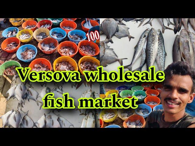 Versova wholesale fish market | wholesale fish Market versova