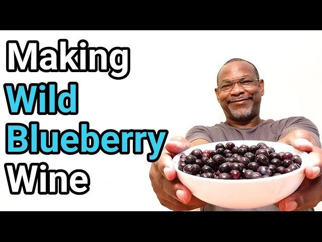 Making Wild Blueberry Wine With Tasting