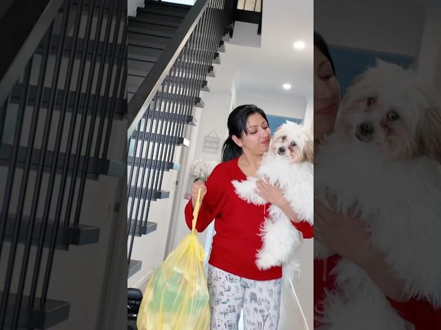Part -1 When she is the best puppy lover  @Sijosh-cp  #sijoshriya #ashortaday #shorts