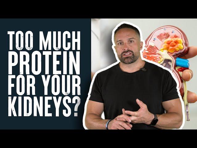 How Much Protein Is Too Much for Your Kidneys? | Educational | Layne Norton PhD Nutritional Sciences