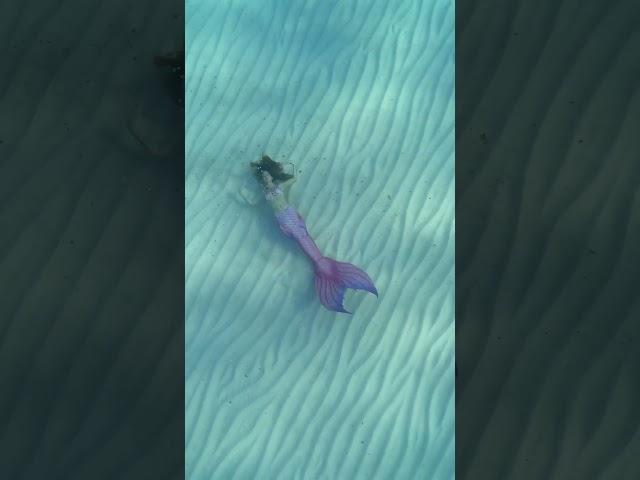 Mermaid swims & plays on the ocean floor!  #mermaid #ocean #h2o #thelittlemermaid #travel #beach