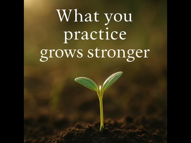What You Practice Grows Stronger | Guided Meditation for Mindful Growth