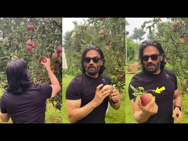 Sunil Shetty Picks Fresh APPLE Right From His Apple Farm In Himachal Pradesh #farm #healthyfood