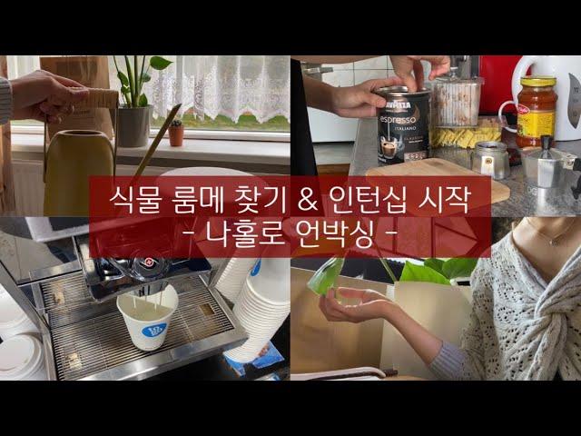 vlog #59 | 인턴십 시작 | 이사 후 생필품 쇼핑 | 식물 룸메 찾기 | 드디어 도착한 택배 언박싱 | 네덜란드 유학 방학(?) 브이로그