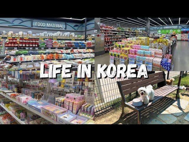 LIFE IN KOREA  Grocery Shopping in Korea+ Korean Dog Park 