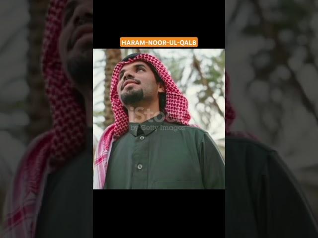 haram-noor-ul-qalb #islamicvideos #qurantilawat