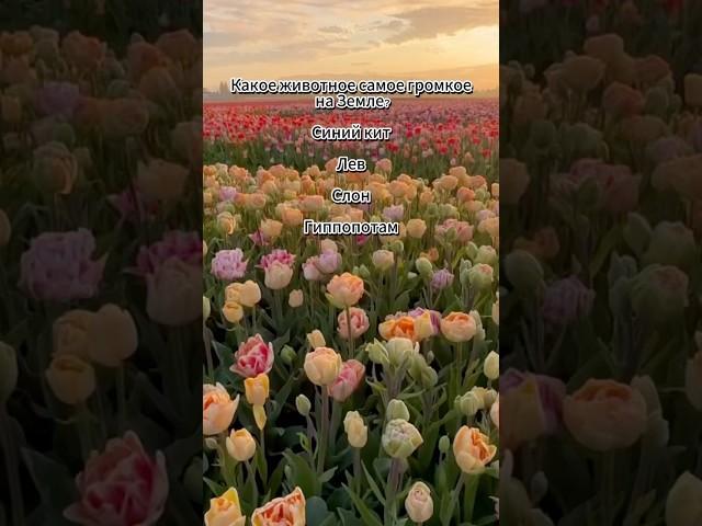 Сможешь пройти этот интеллектуальный челлендж? #викторина #опрос #тест #факты #ответвопрос #тестнаiq