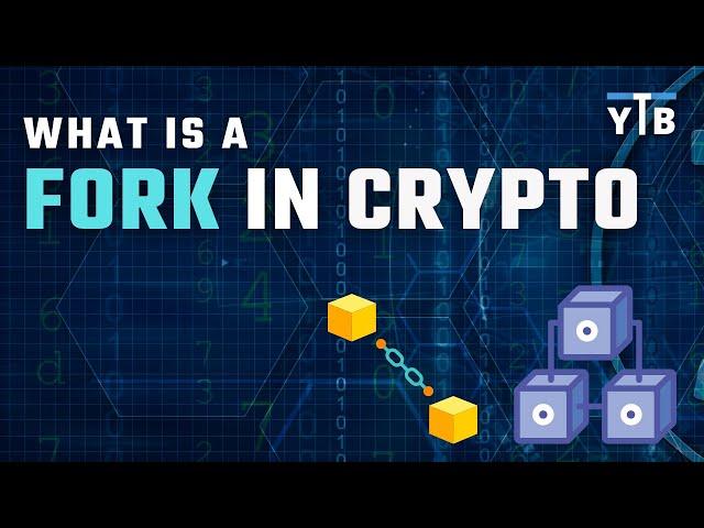 What Is a Fork in Crypto | A Simple Explanation | YouTradeBiz