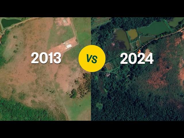 Rebuilding Brazil's Forgotten Forest