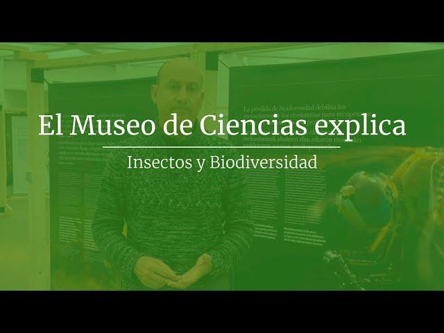 El Museo de Ciencias explica - Insectos y Biodiversidad