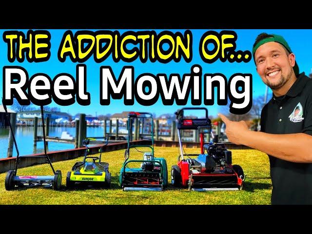 Beginner’s Guide to Reel Mowing  Most common types of reel mowers (Manual, Battery, and Gas)