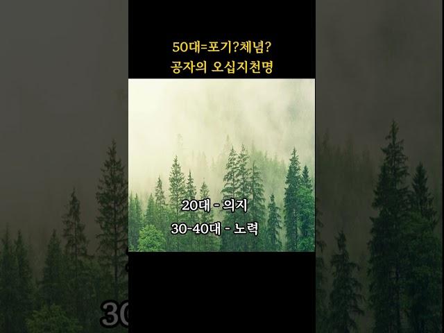 50살에 깨닫는 인생의 진리? 공자가 말한 하늘의 뜻이란 #명언 #동양철학 #공자 #오십지천명 #좋은글 #쇼츠