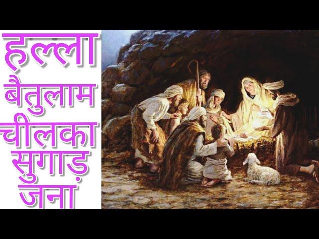 हल्ला बैतुलाम चिलका सुगाड़ जान रे|| Mundari   christmas song||