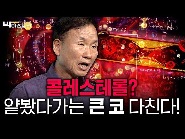 인문학신메뉴콜레스테롤? 얕봤다가는 큰 코 다친다! [#박문호박사의빅히스토리 ] #4회 #풀영상 (24.10.18 방송분)