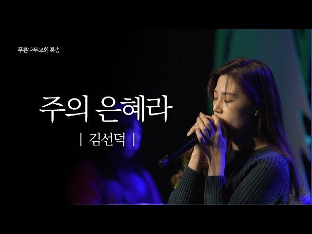 [특송] 주의 은혜라 - 김선덕