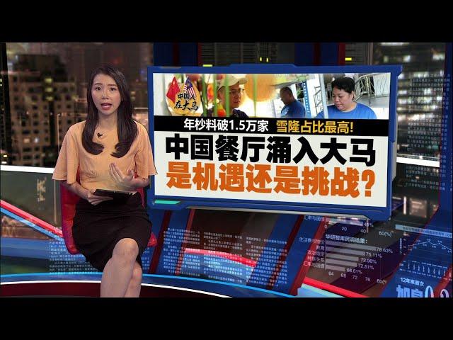 雪隆占比最高   中国风味餐厅席卷大马   是机遇还是挑战？ | 新闻报报看 10/11/2024