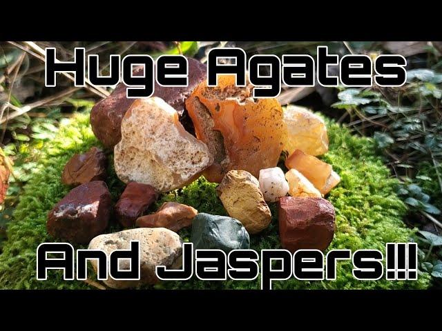 Rockhounding Oregon | Searching for Jasper & Agates, Biggest Jaspers & agates I've found!!!