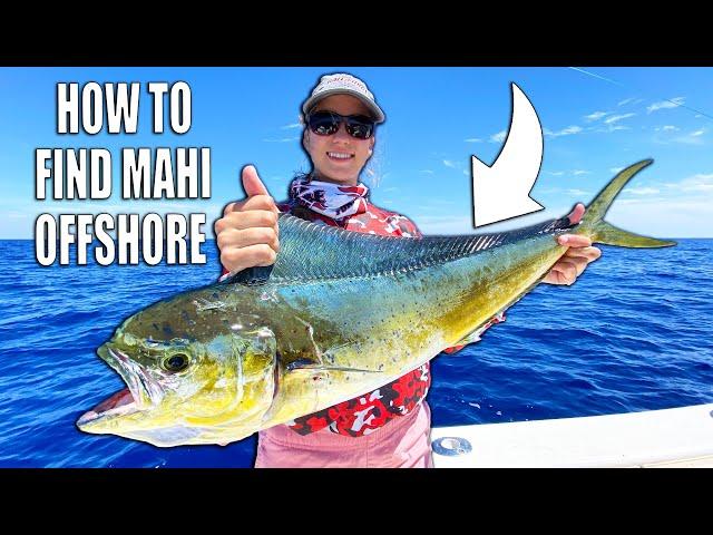 HOW TO FIND MAHI - Fishing for Pelagic Offshore Fish