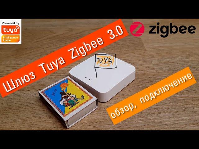 Review of the popular Tuya Zigbee WiFi smart home system gateway. Connecting, adding devices.