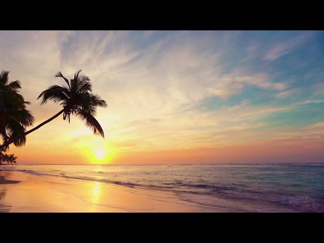 Breathtaking Grand Cayman Tropical Beach Sunset in 4K for Meditation, Sleep and Study