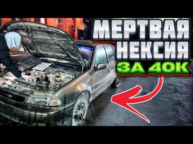КУПИЛИ УБИТУЮ НЕКСИЮ ЗА 40 И ПРОДАЛИ ЗА 150