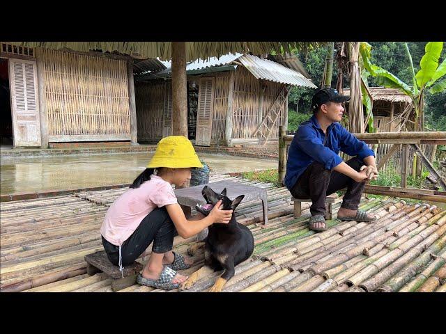 Bamboo flooring process. Uncle Dong helps poor girl Ngoc Han complete in 5 days