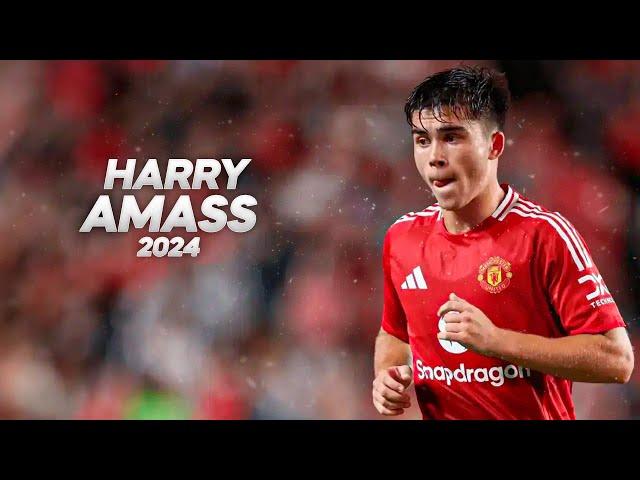 Harry Amass - Beast in The Making - 2024ᴴᴰ