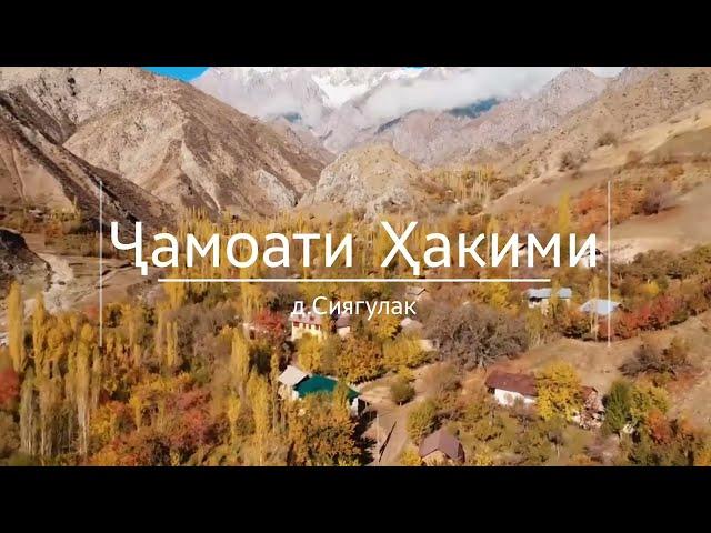 Фасли тирамоҳи д, Ҳакими  н.Нуробод Autumn season, Hakimi n. Nurabad. 2023