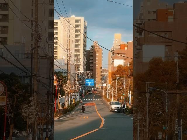 Hidden #TOKYO Neighborhoods but make it a music video #shortsfeed