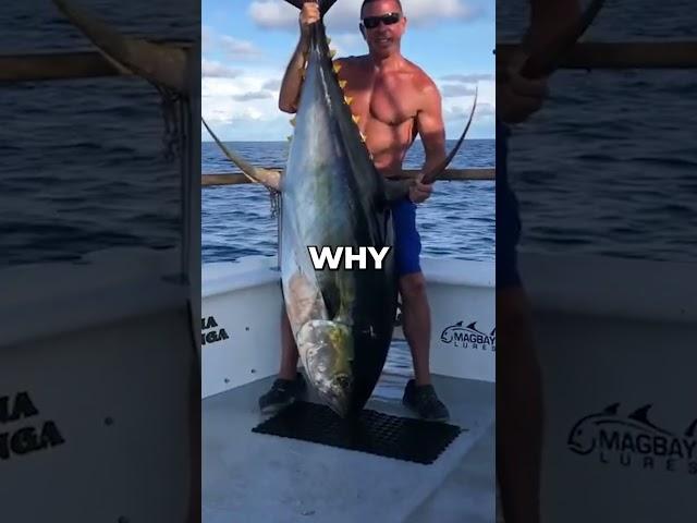 Why You Can't Buy A Live Tuna #Shorts