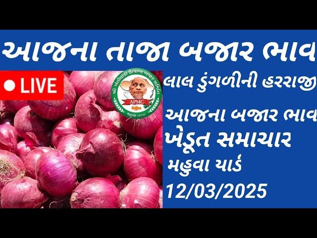 aaj na bajar bhav||apmc mahuva||લાઈવ હરરાજી||આજના બજાર ભાવ||હરરાજી સમય સવારે 9 વાગે||લાઈવ અપડેટ