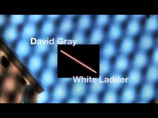 David Gray - Babylon (Official Audio)