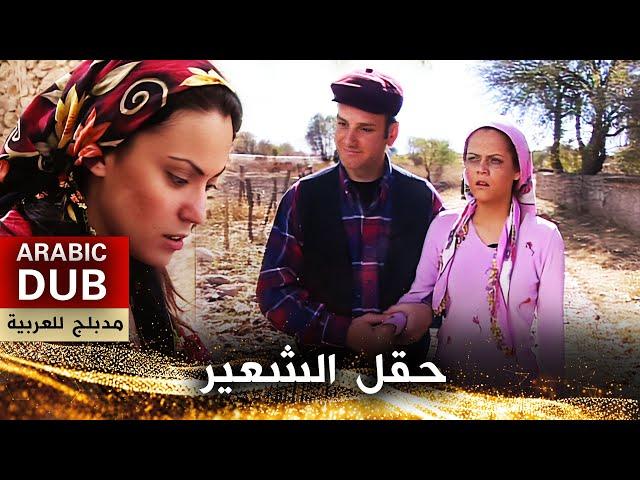 حقل الشعير _ فيلم تركي مدبلج للعربية | Burçak Tarlası