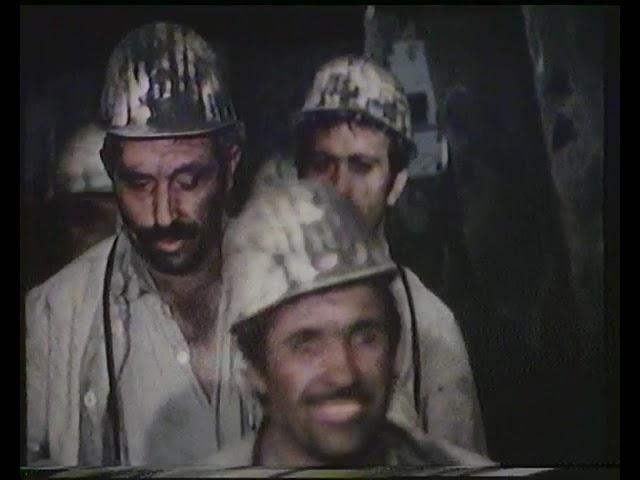 ARD 03.06.1983 Regionalprogramm aus Saarbrücken Aktueller Bericht Werbung Tagesschau 20 Uhr