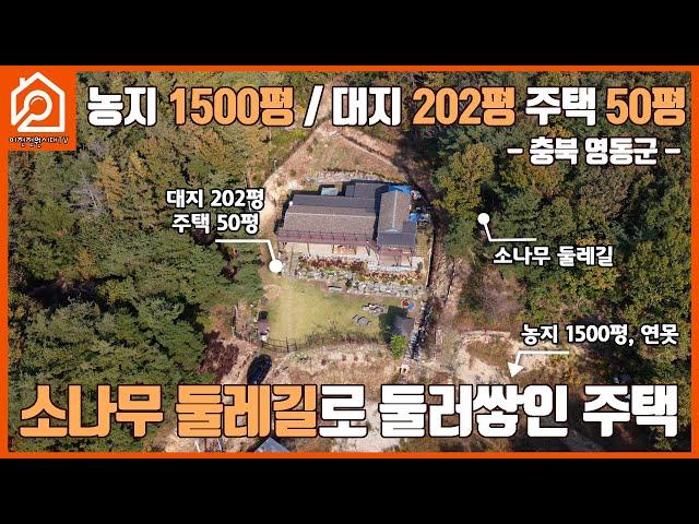 농지 1500평 / 대지 202평 주택 50평 / 충북 영동군 / 소나무 둘레길로 둘러쌓인 주택 / 이천주택 / 이천부동산 / 이천가야공인중개사