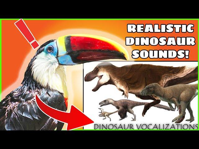 Toucan Reacts to Scientifically Accurate Dinosaur sounds!