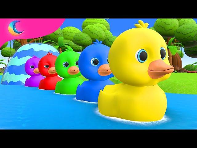 Five Little Ducks | Kids Songs | BluLoo Nursery Rhymes & Kids Songs