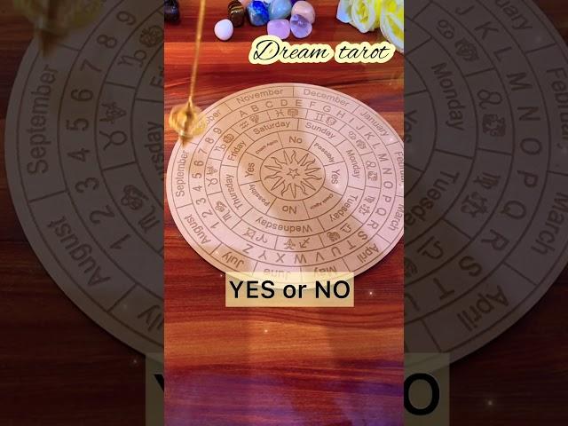 YES or NO⏳Ask your angels  #tarot #tarotreading