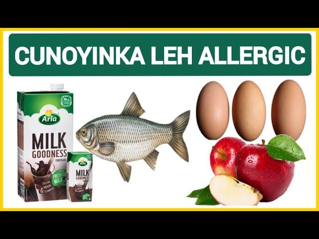 CUNOOYINKA XASASIYADA LAGA QAADO NOCYADA HALISTA AH & CALAMAHA LAGU GARTO DR. MAHAMED LIBAAN