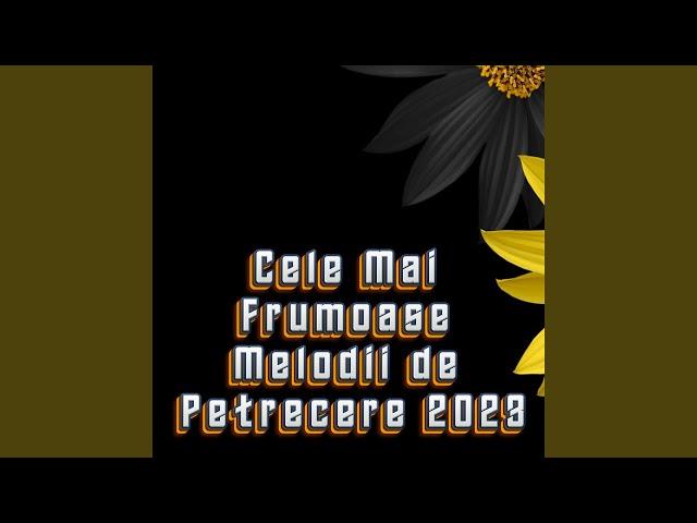 Cel mai bun si frumos colaj 2023 Muzica de Petrecere 2023