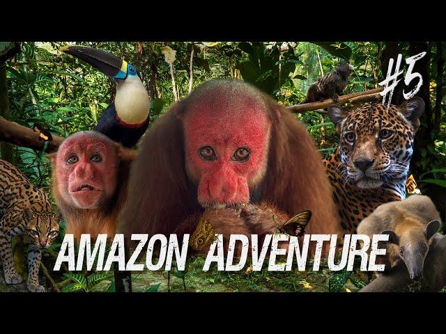 WILDLIFE RESCUE in The Amazon| Discovering Animals and Their Stories