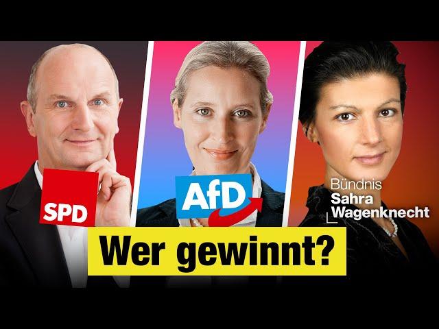 Brandenburg Landtagswahl: Alle Wahlprogramme einfach erklärt (AfD, BSW & Co.)