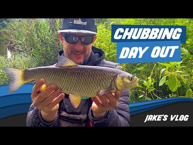 Jake's Vlog! A Chubbing Good Day Out - Fishing for Chub on Lures