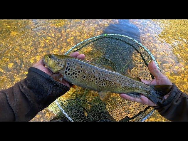 UN DÍA DE PESCA ENTRETENIDO