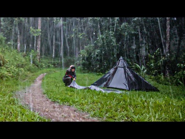 HIT BY CRAZY RAIN STORM & THUNDERSTORM - solo camping LONG HEAVY RAIN with NEW TENT - ASMR